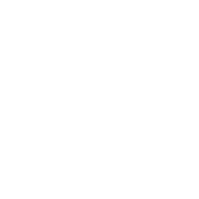 Bogazici University
